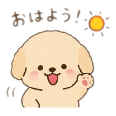 okamoto_20260625005832