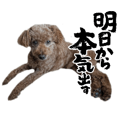 cha.cha._20260625222829
