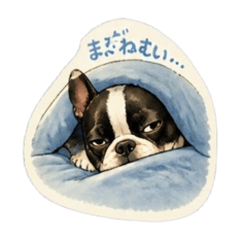 SUZU_20260626010410