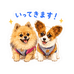 URS PON&REO