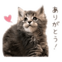 juju_20260626165749