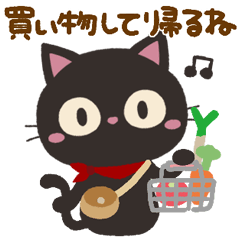 Everyday!black cat11