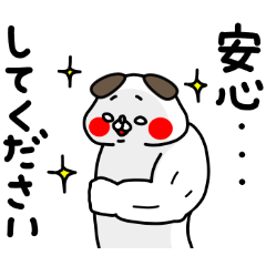 全力いぬ安心してください編