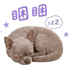 Chihuahua Friends Cute Mascot Big [ZiFu]