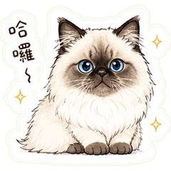 QQ貓跟狗跟動物