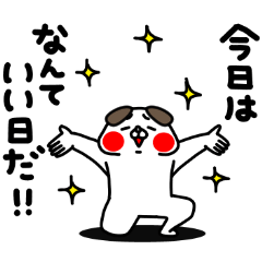 全力いぬ今日はなんていい日だ編