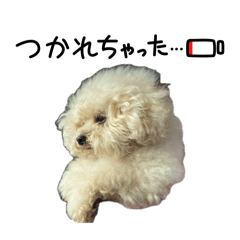 Wakiname_oji_20260624175601
