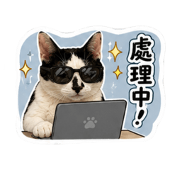 寶貝（日常用語）