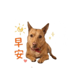 臭蛋寶的貼圖