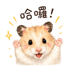 笑笑的一天