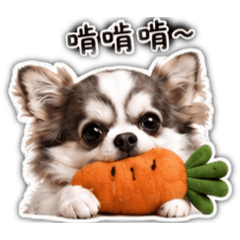 《黃KURI》日常用語