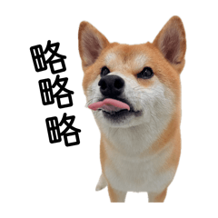 其林