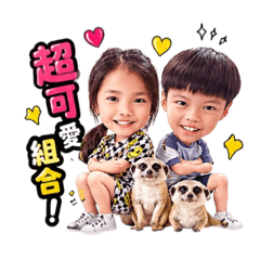 兄妹狐獴版