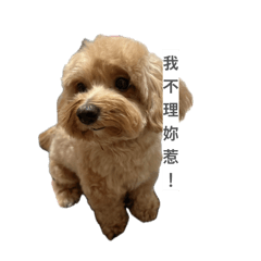 糰❤️