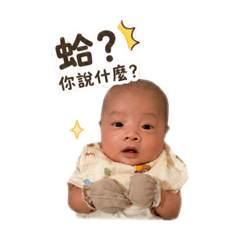 右右（小語1）