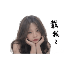 大寶的小豬