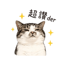 妹妹醬是隻喵