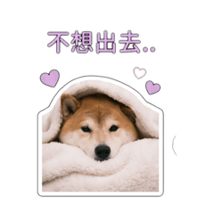 Macaroon-2