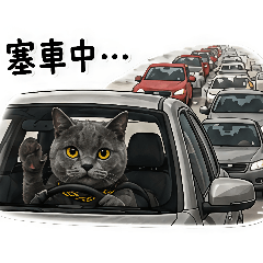wahaha是我