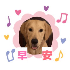 ㄉㄟˇ專區