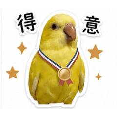 噹噹我來了❤️