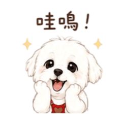 球球語錄(可愛瑪爾濟斯的生活對話)