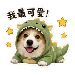 泡芙(柯基)-日常用語