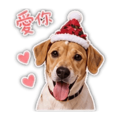 咪嚕的拍貼