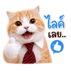 Bancha.T_20260503122710
