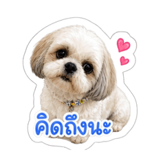 Ju Tha_20260503122937