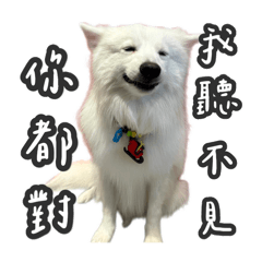 我是阿美，阿美是我