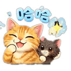 我們家胖橘摸摸