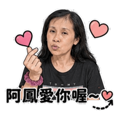 阿鳳貼圖.