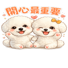 比熊兄妹｜50+人生智慧篇