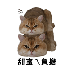 勒狗2蛋ㄟ