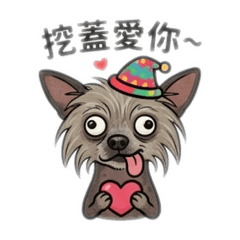 小狗哈吉