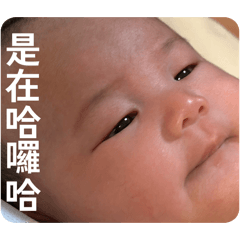 阿小多多3