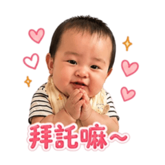 ʚ 林N寶 可夢 ɞ