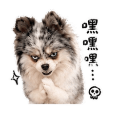 毛茸茸灰灰 地獄篇