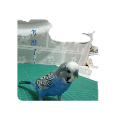 菜包,肉包