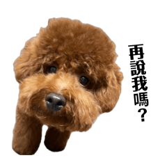 陳小歐的代表1