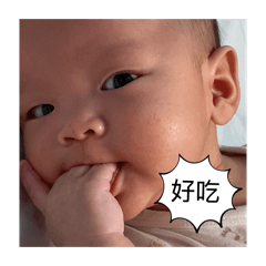 煮賊2