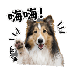 樂樂園地