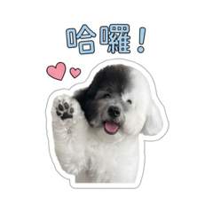 炭吉咩咩