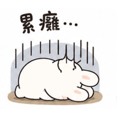 Cute Rabbit777