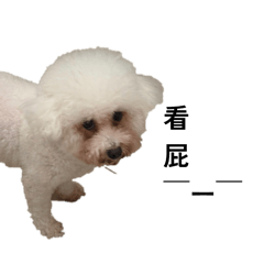美美之