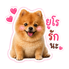BowNi_20260503125010