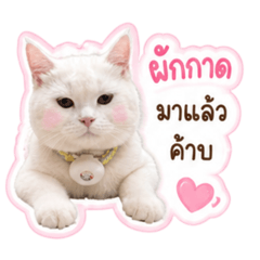 BowNi_20260503130149