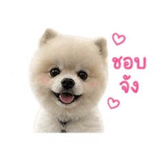Sutaphon Uthon_20260503131346