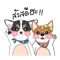 พี่น้องคู่ปรับ